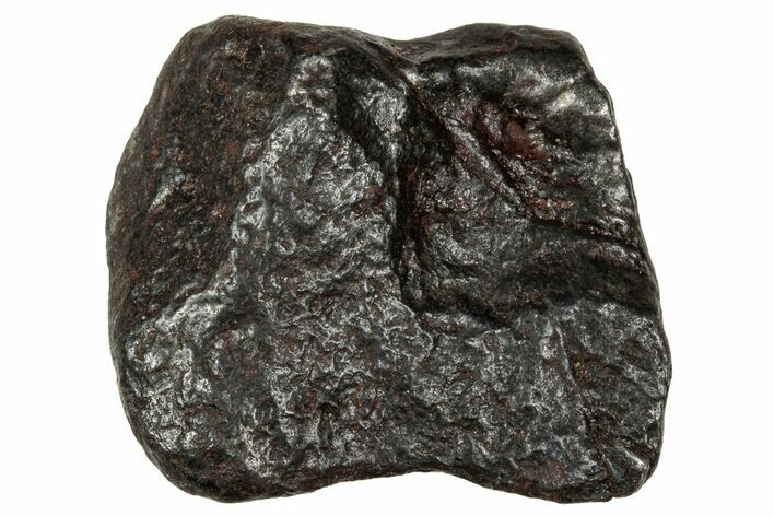 Gibeon Iron Meteorite ( g) - Namibia #334680
